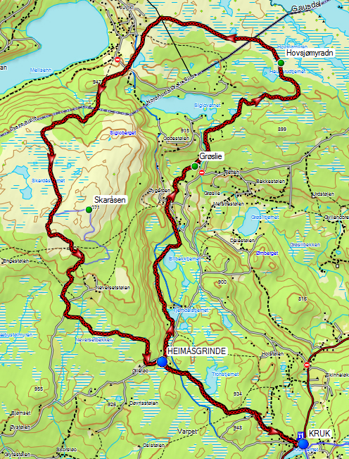 Nytun Kruk Aurdal Og Kruk L ypelag