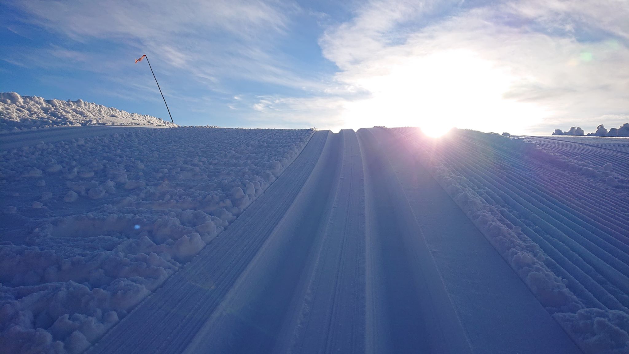 ole ronny 10.jpg (1)