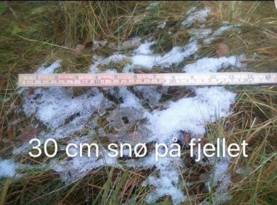 Foran Rakfisken1.jpg