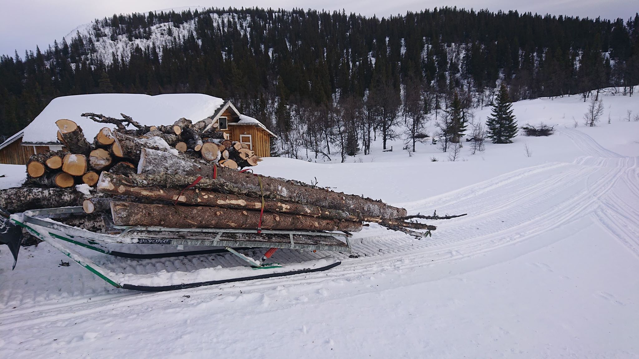 forberedelser 2020 - 5.jpg