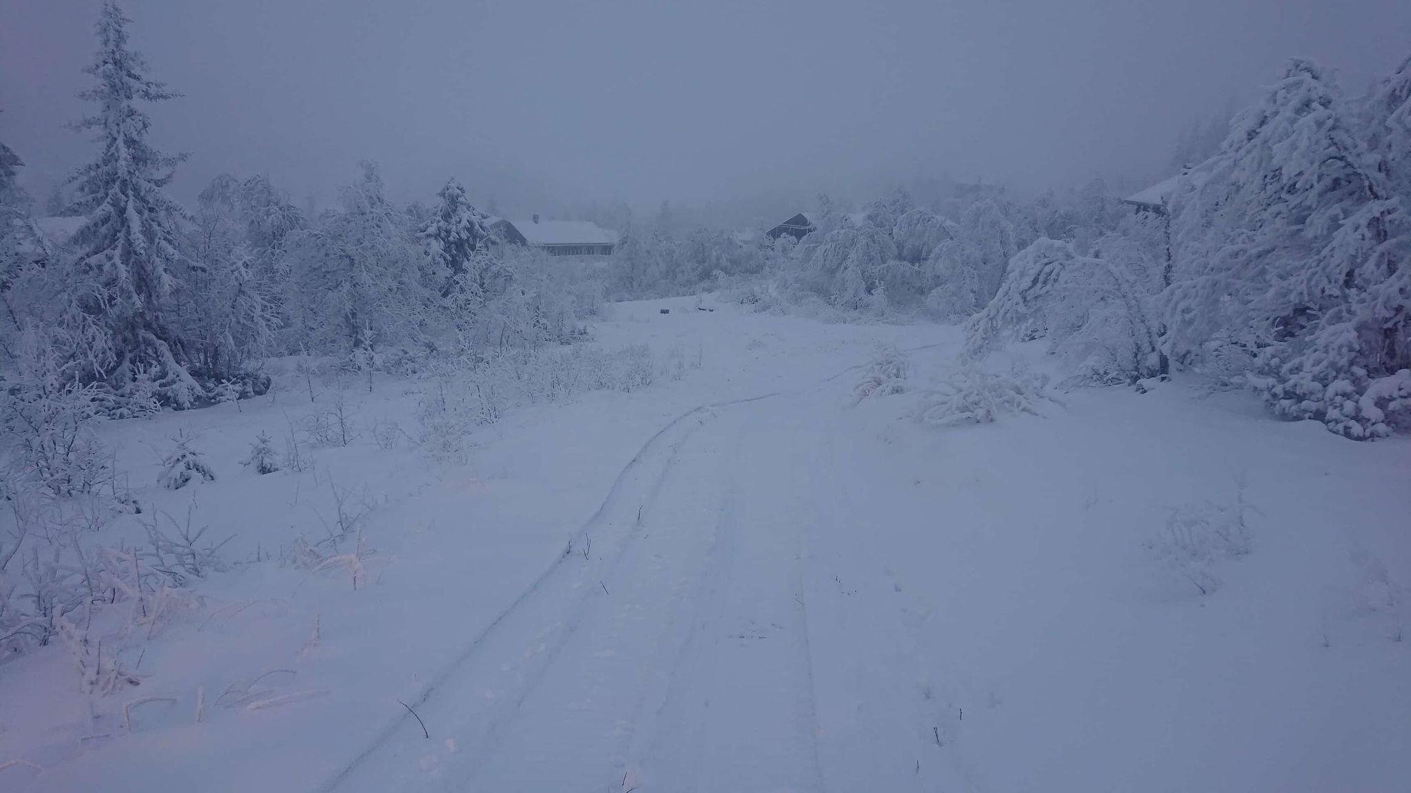 uke 50-løype 02.jpg