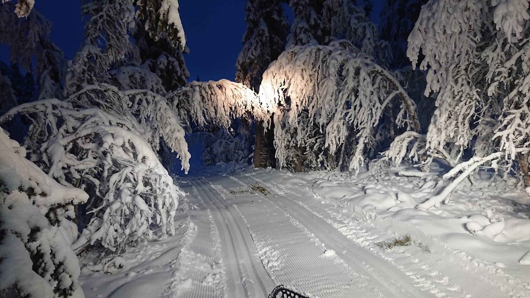 uke 50-løype 12.jpg