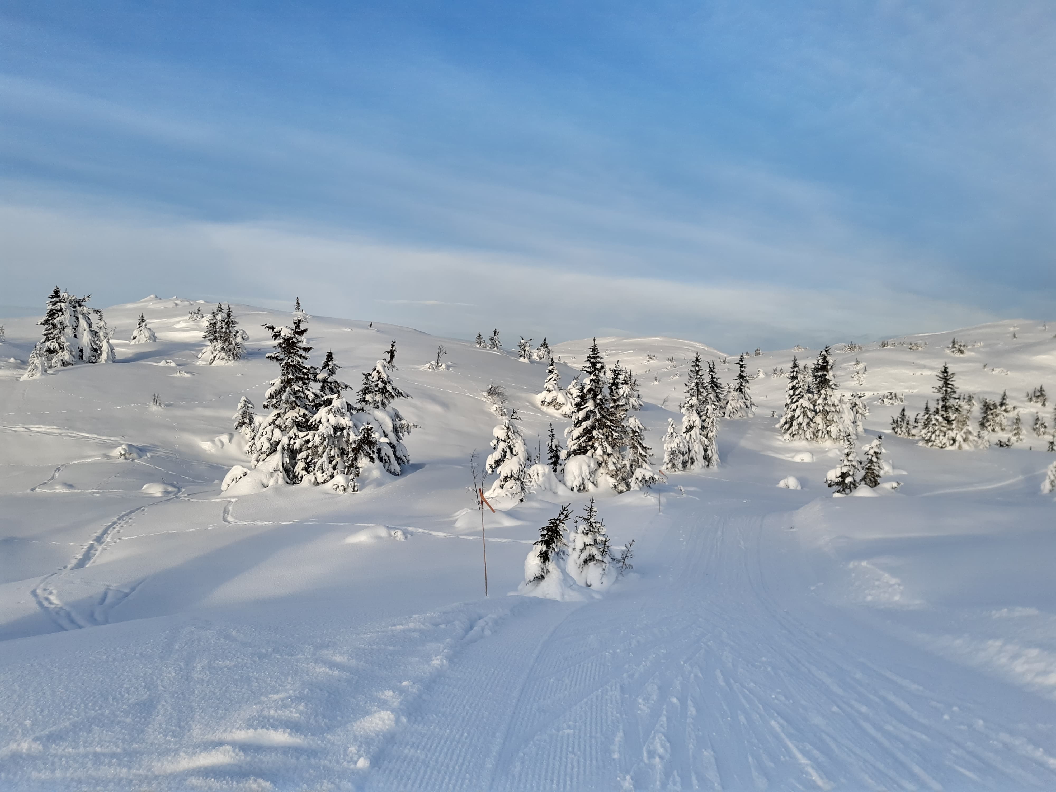 9. jan Eva Irene 03.jpg