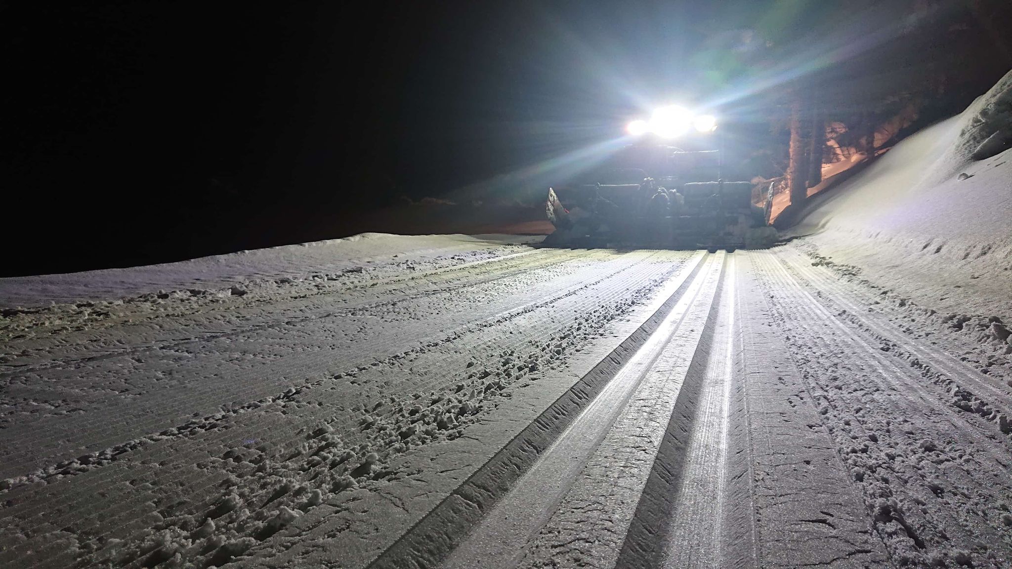 ole ronny 01.jpg (1)