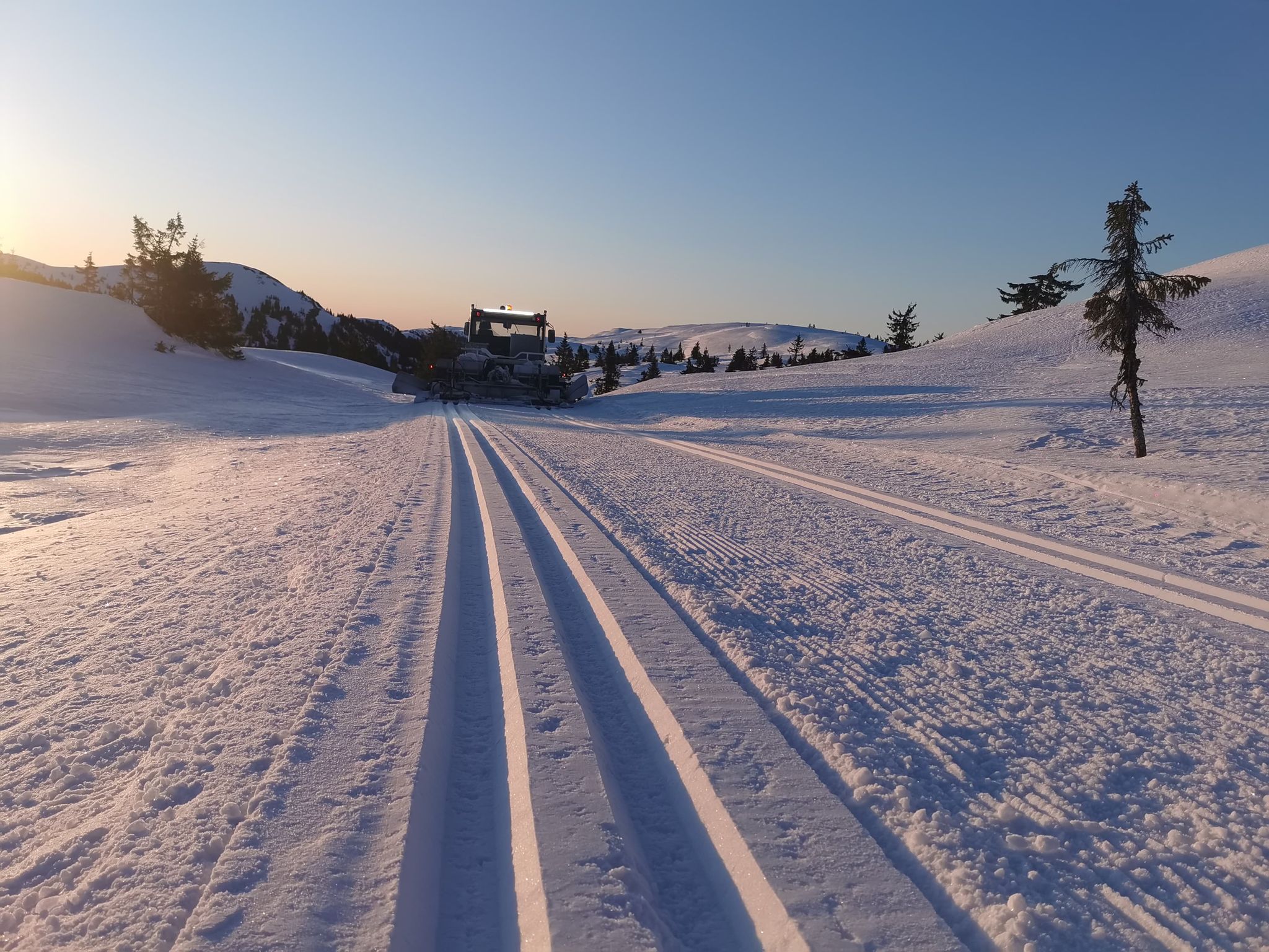 trond vidar 11_03.jpg