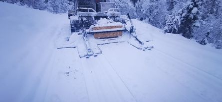 08.12 Ole Ronny_04.jpg