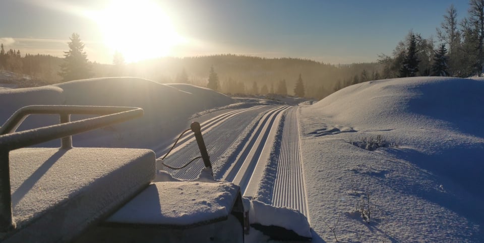 0102 Trond Vidar_01.jpg