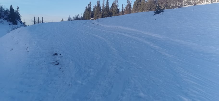 01.13 trondvidar_04.jpg.jpeg