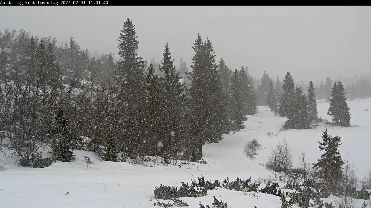 Langeline tirsdag.png