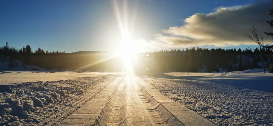 0204 Ole Ronny_01.jpg