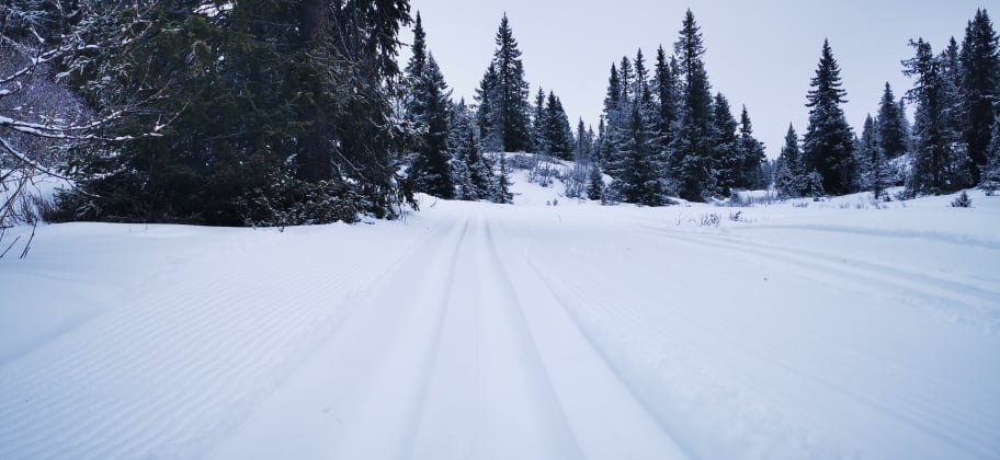 0214 Ole Ronny_01.jpg