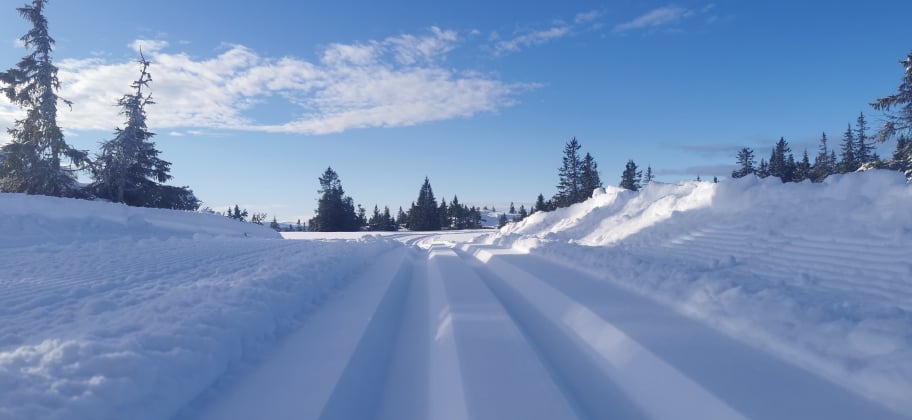 0215 Trond Vidar_01.jpg