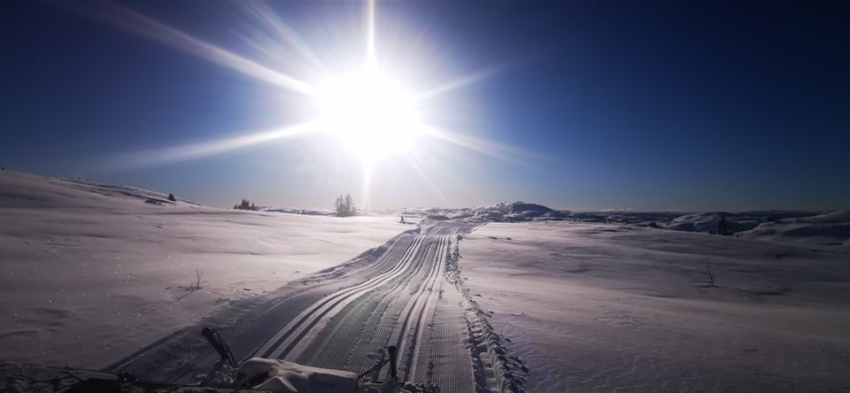 0218 ole ronny_03.jpg