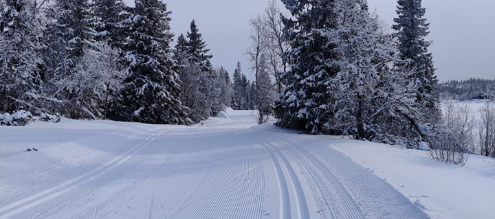 0217 eva irene_16 copy.jpg