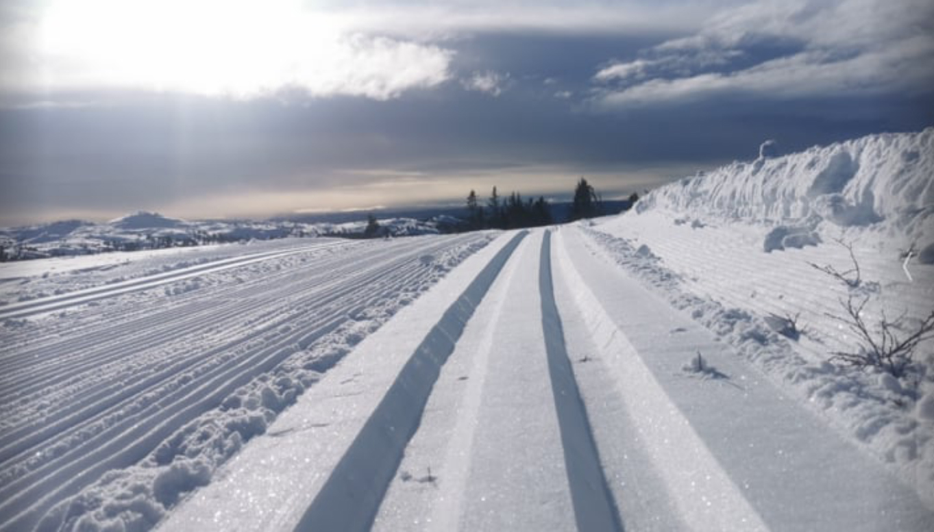 0225 trond vidar 01.jpg