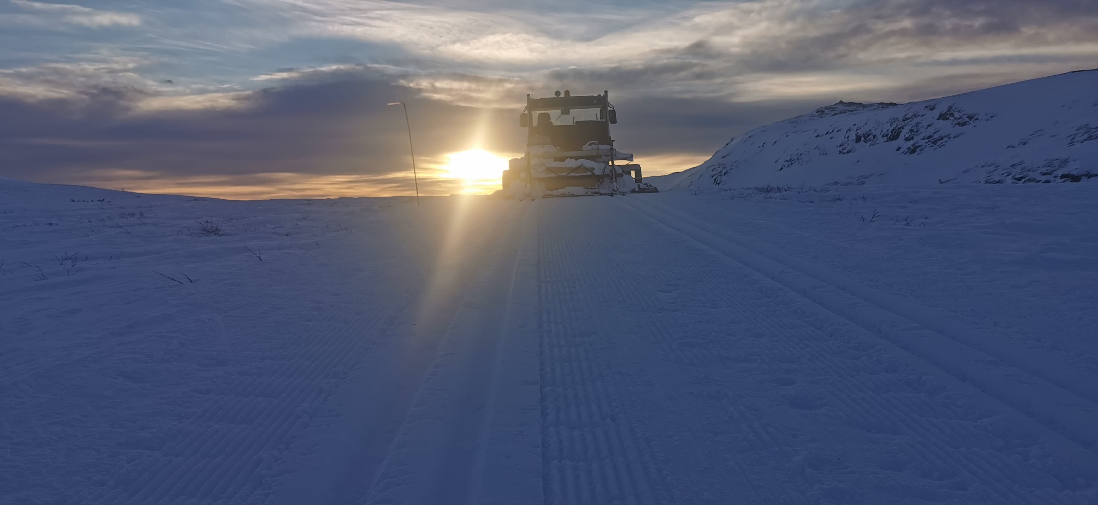 0227 Trond Vidar_01.jpg