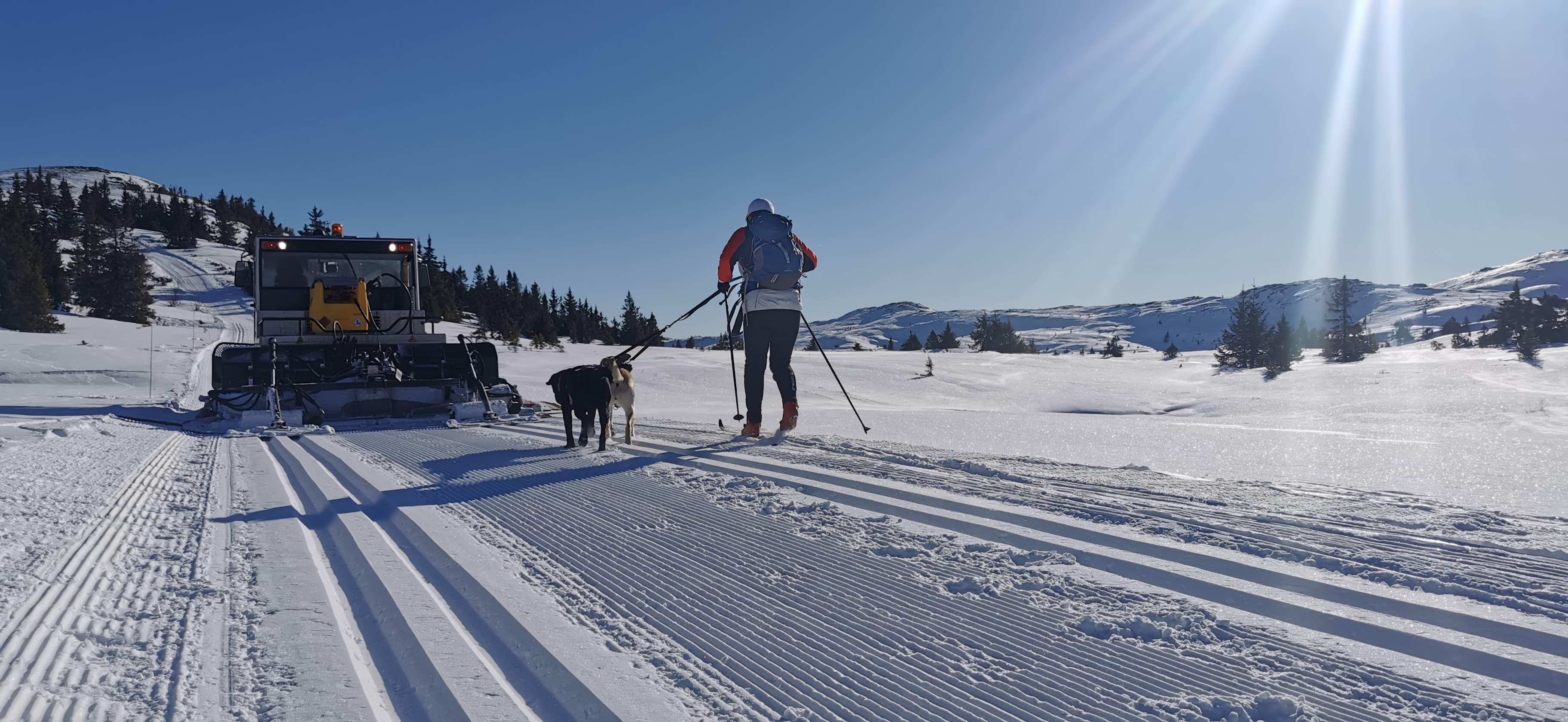 0228 Trond Vidar_01.jpg