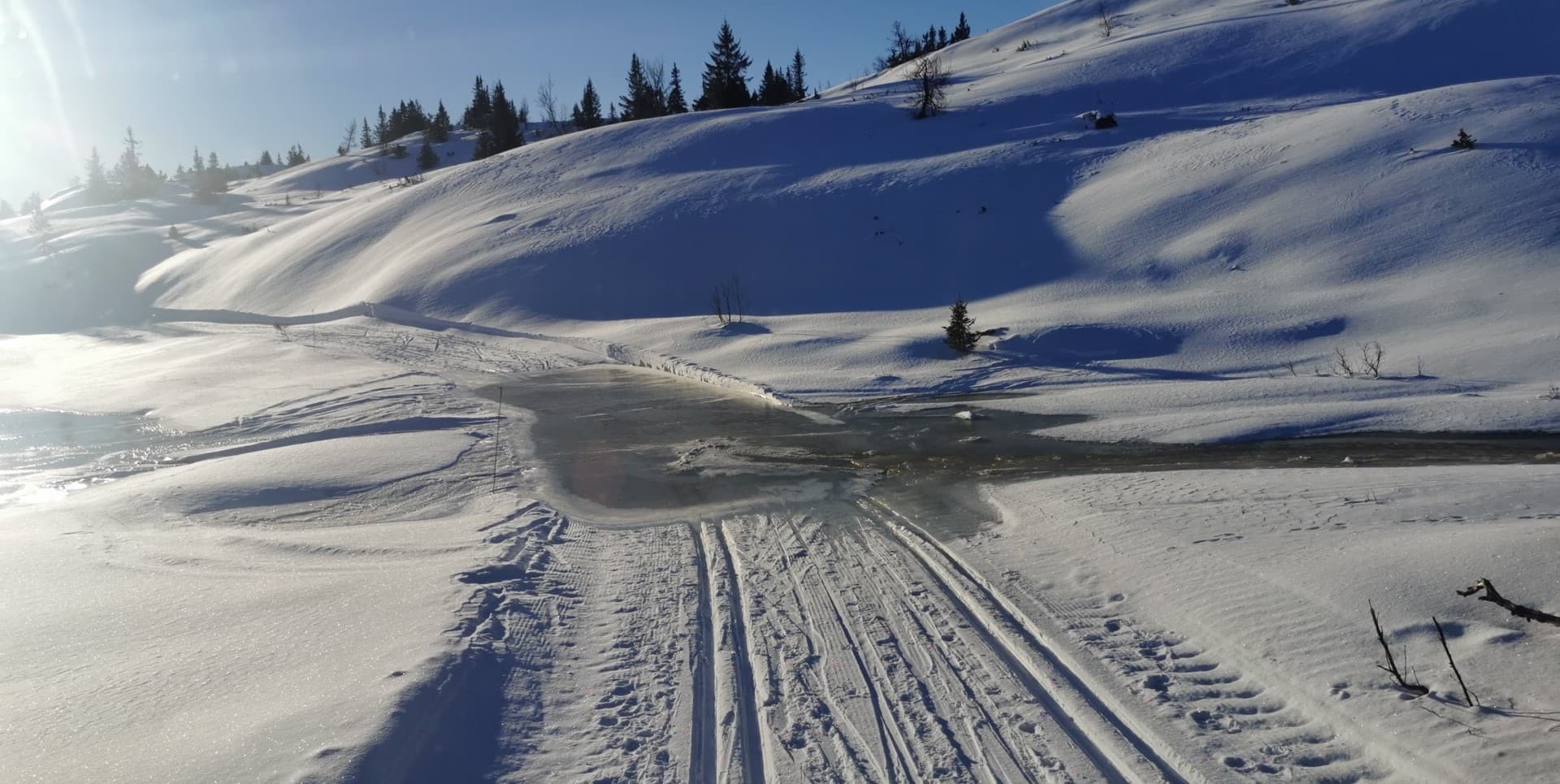 0302 Trond Vidar_01.jpg