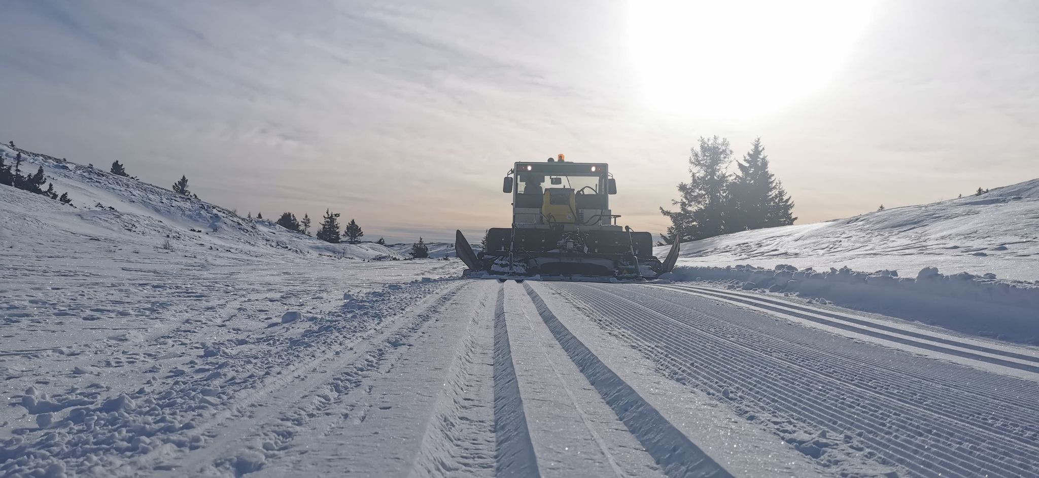 0303 Trond Vidar_01.jpg