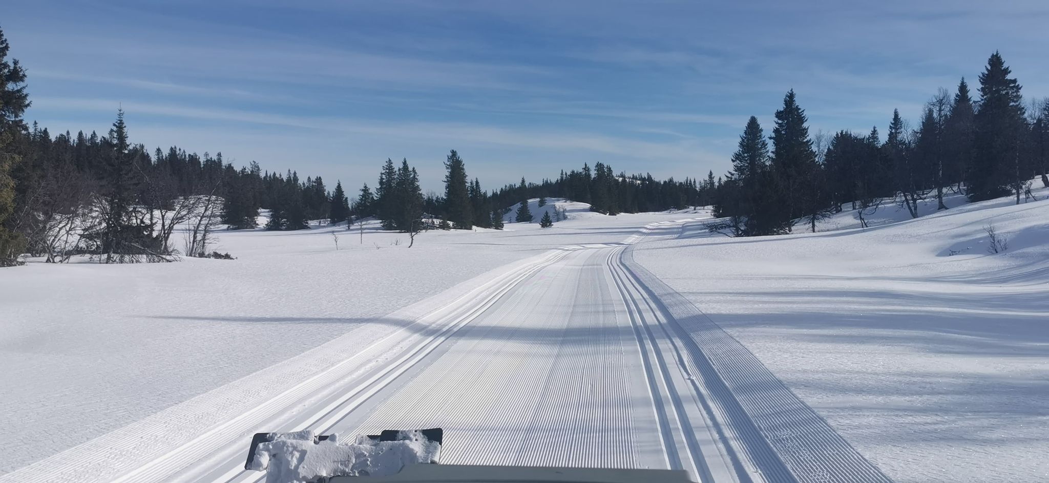 0303 Trond Vidar_04.jpg