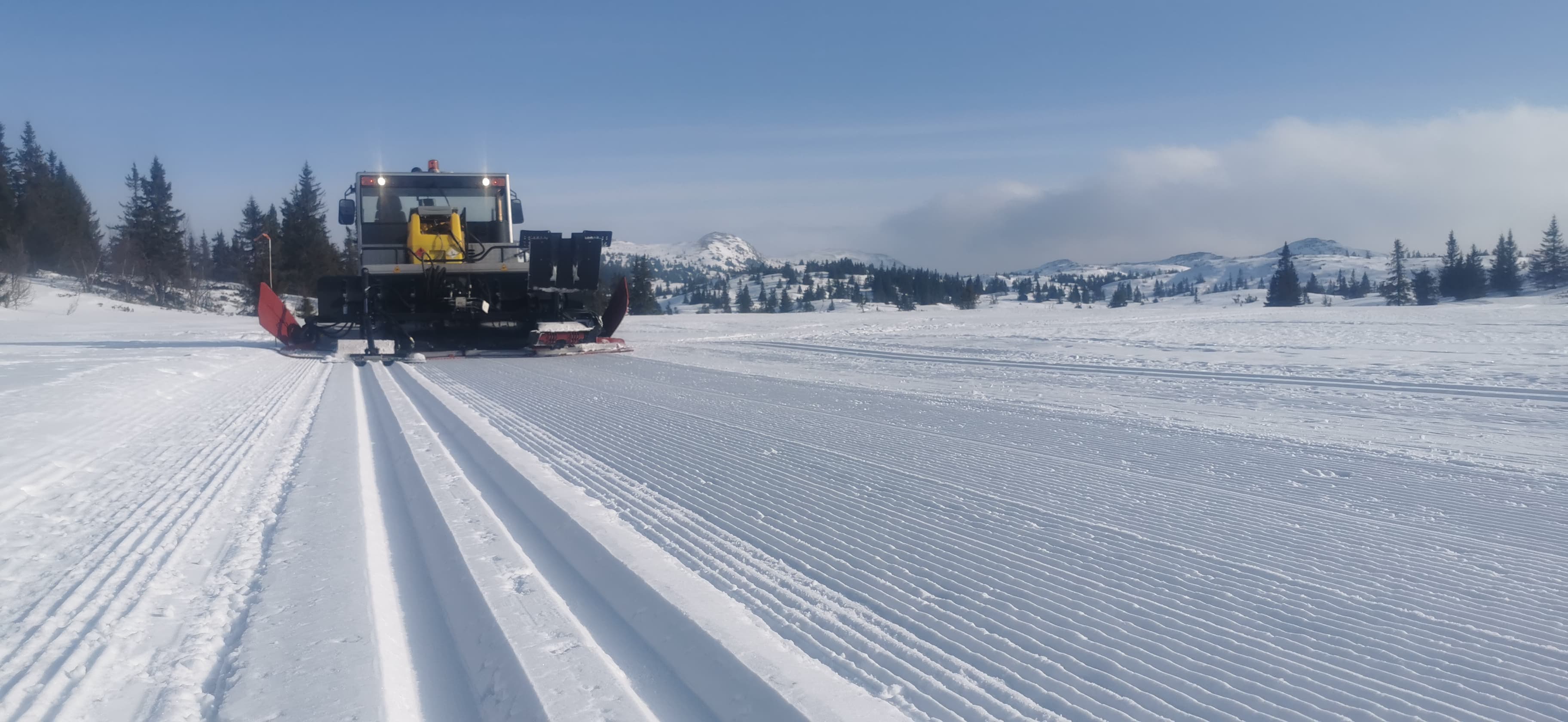 0310 Trond Vidar_01b.jpg