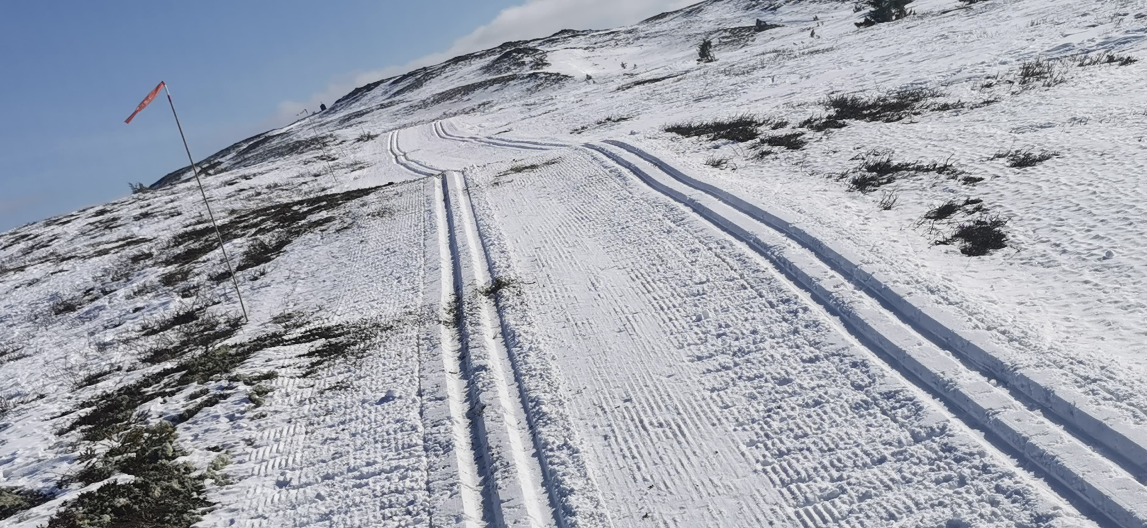 0311 Trond Vidar_01.jpg