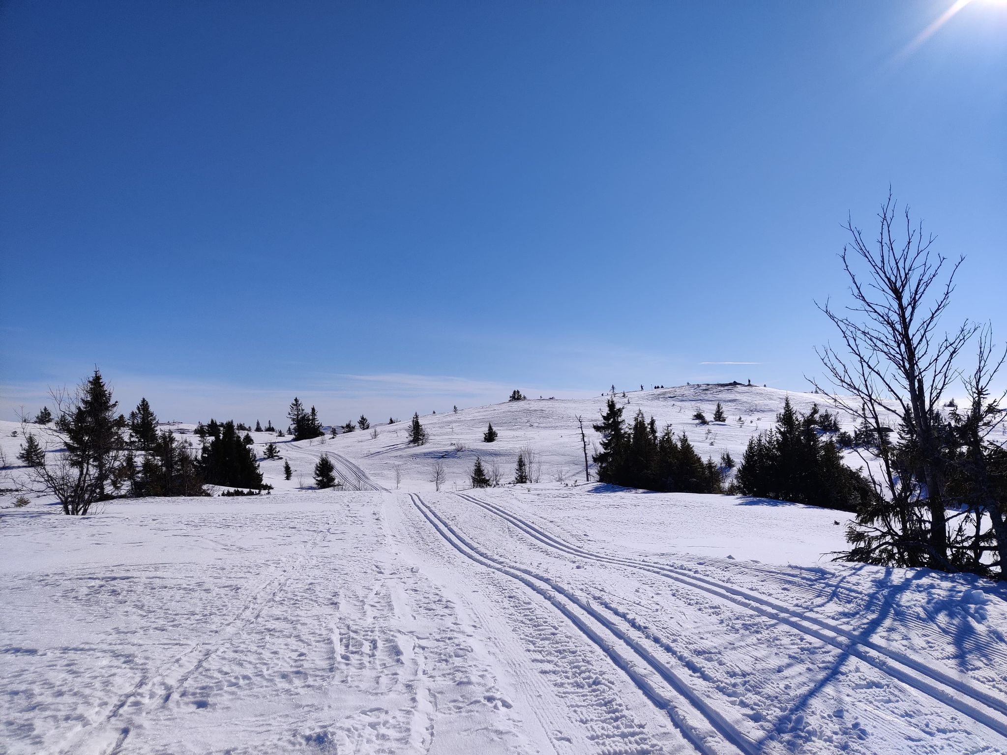 0312 Eva Irene_05.jpg (1)