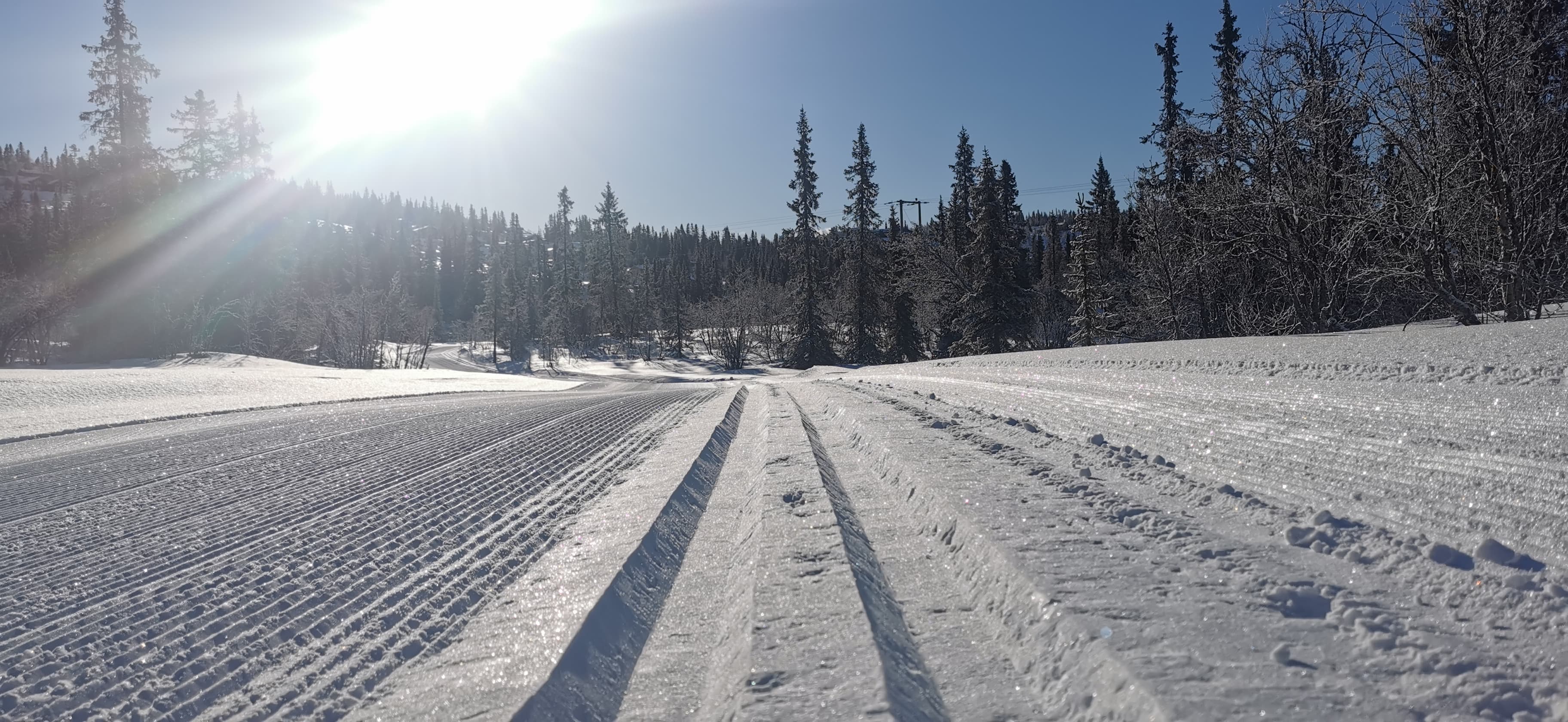 0318 Trond Vidar_02.jpg