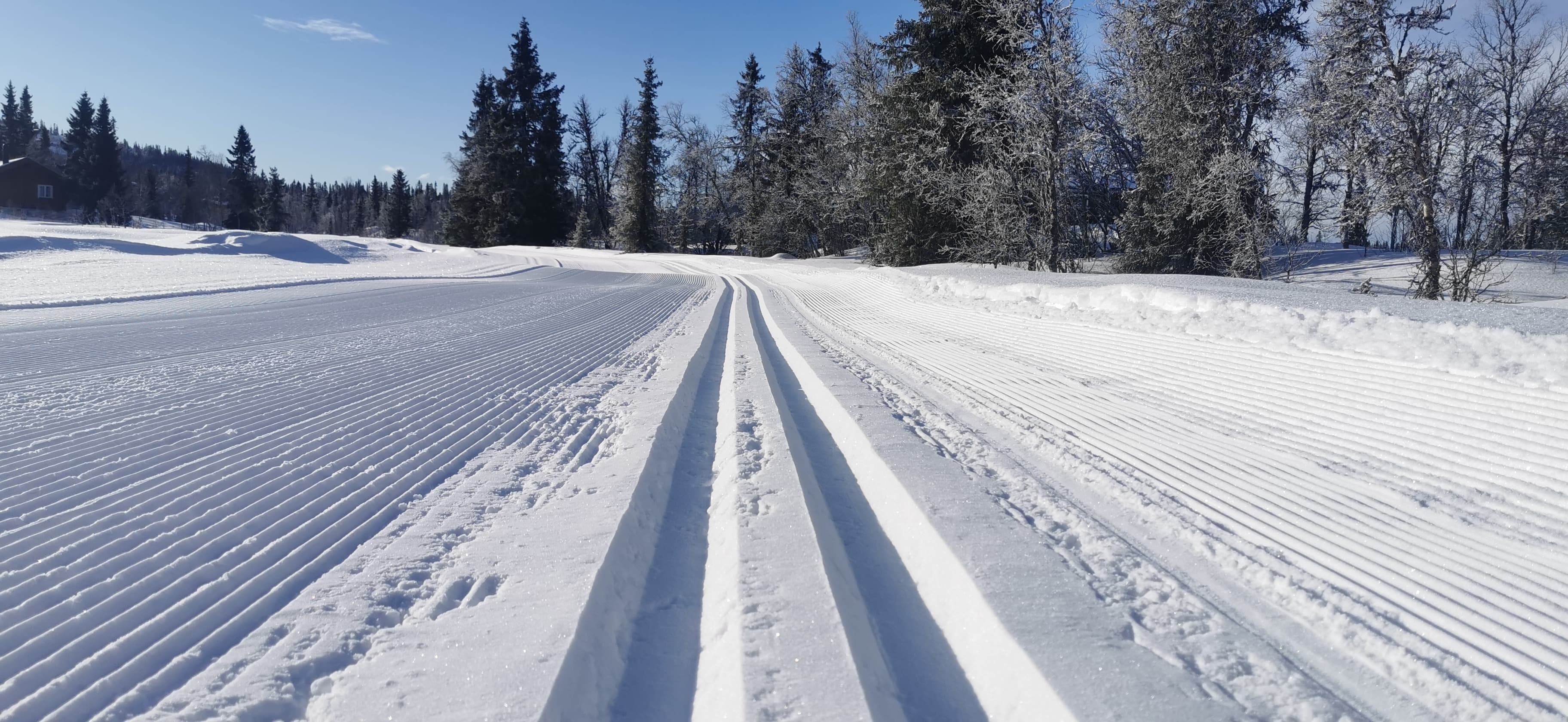 0318 Trond Vidar_04.jpg