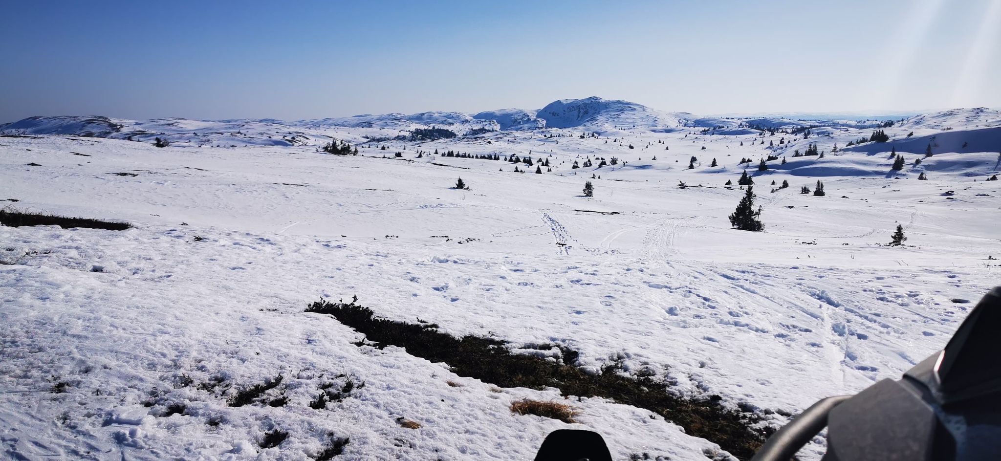 0321 ole ronny_01.jpg