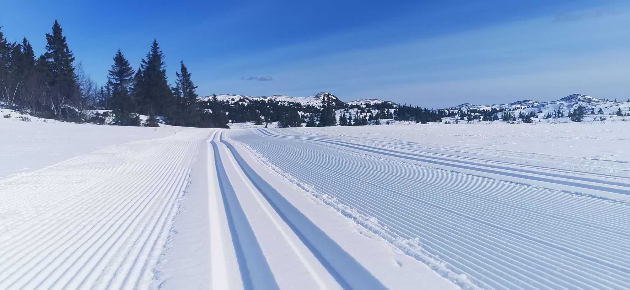 0406 ole ronny_08.jpg