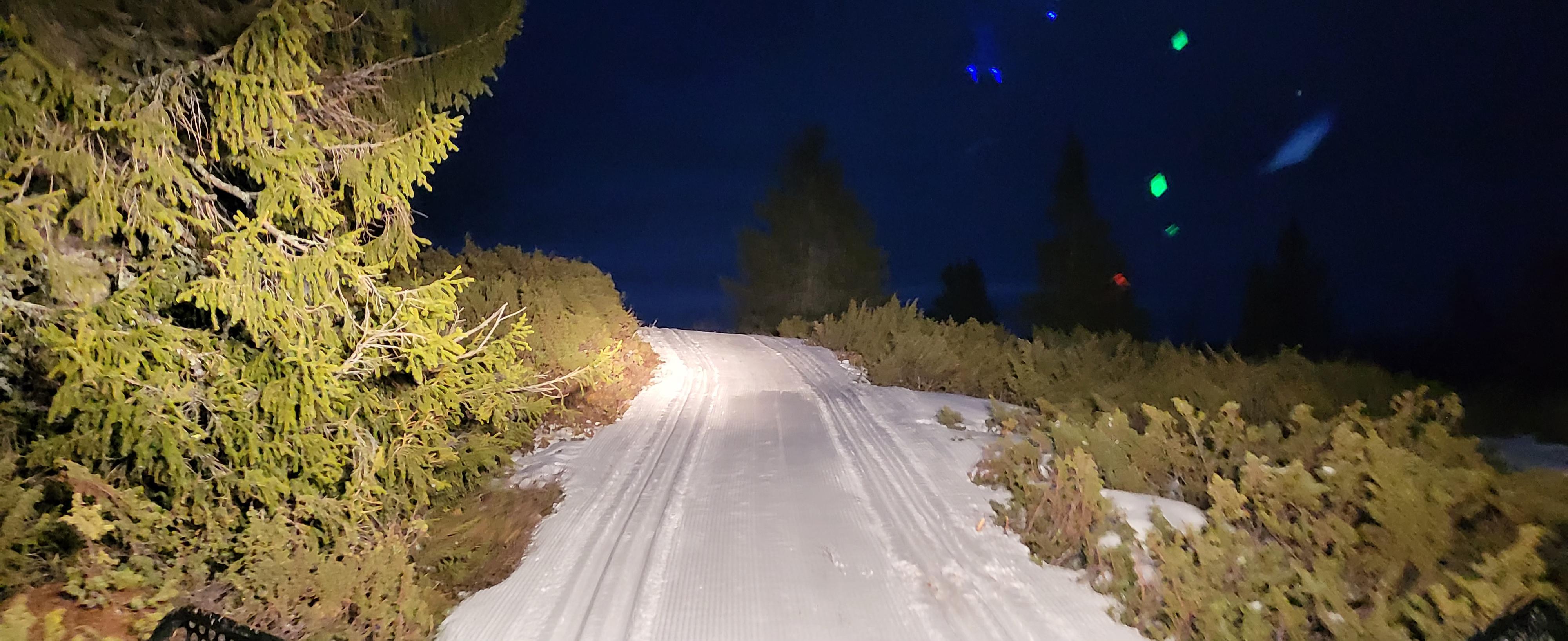 0414 ole ronny_04.jpg