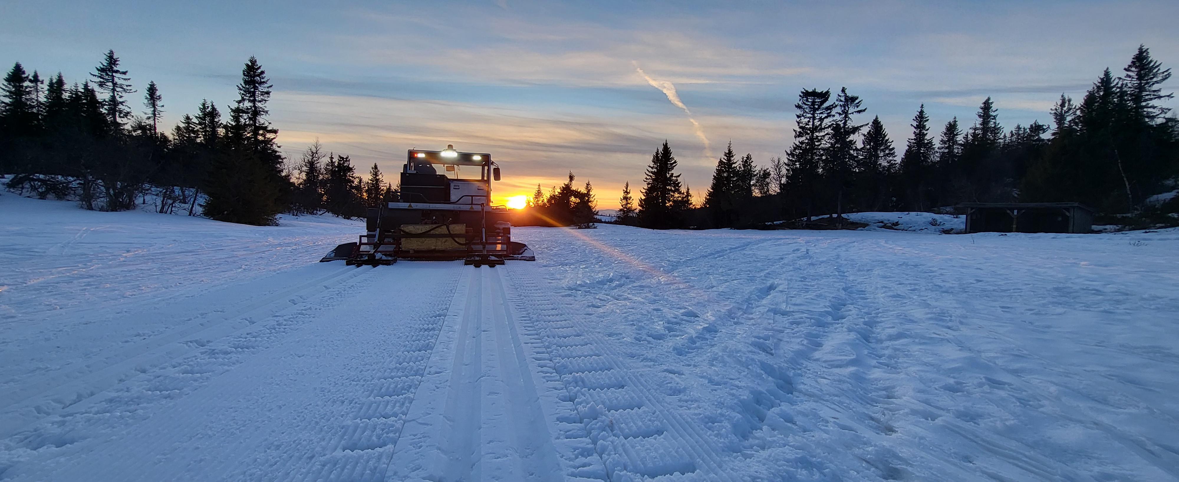 0415 ole ronny_01.jpg