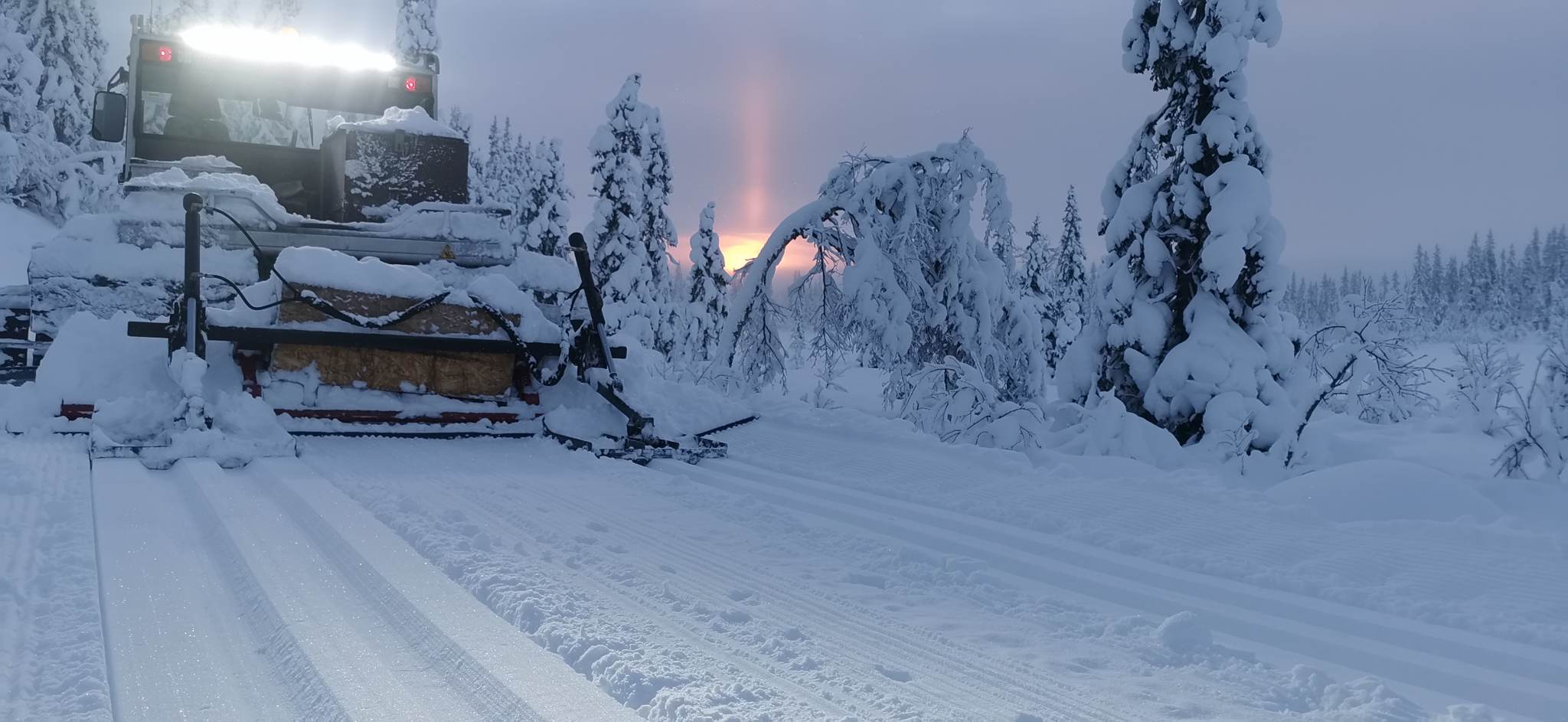 1201 Trond Vidar_01.jpg