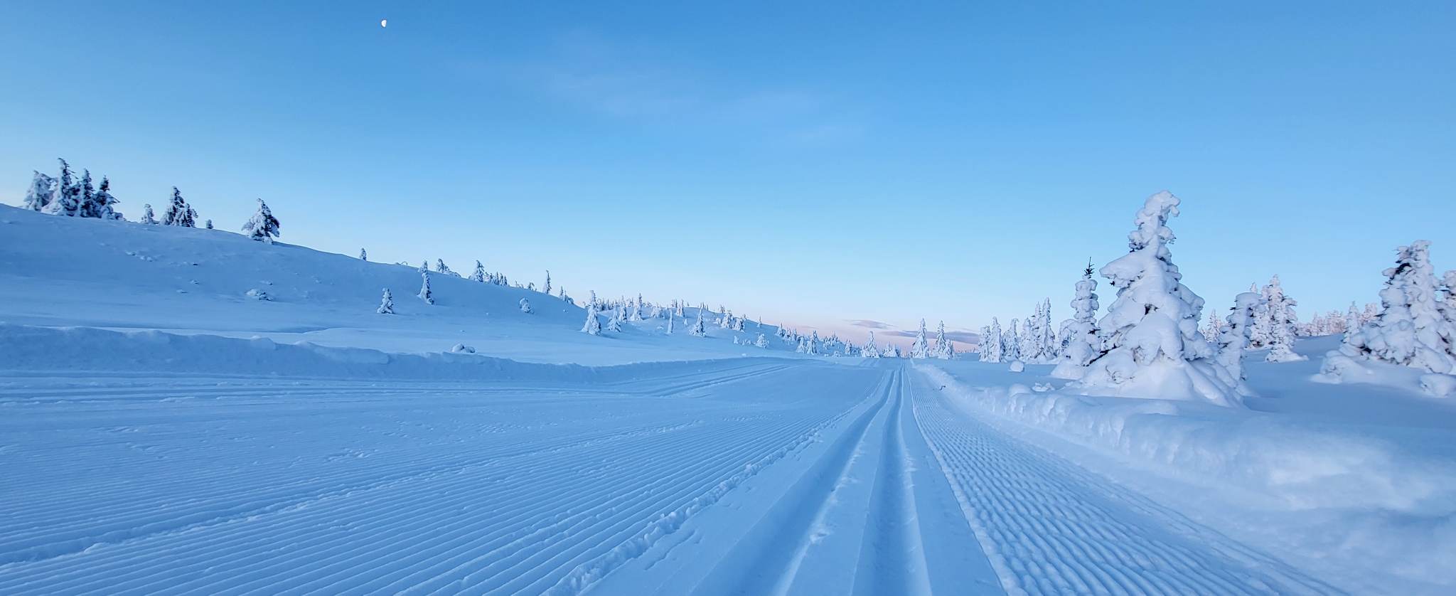 1215 Ole Ronny_01.jpg