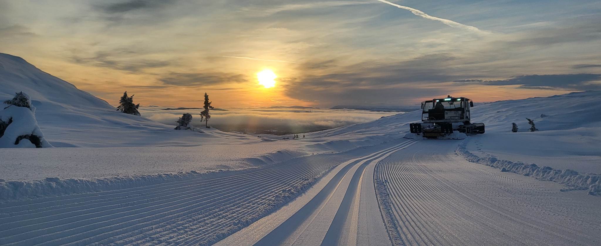 1220 Ole Ronny_01.jpg