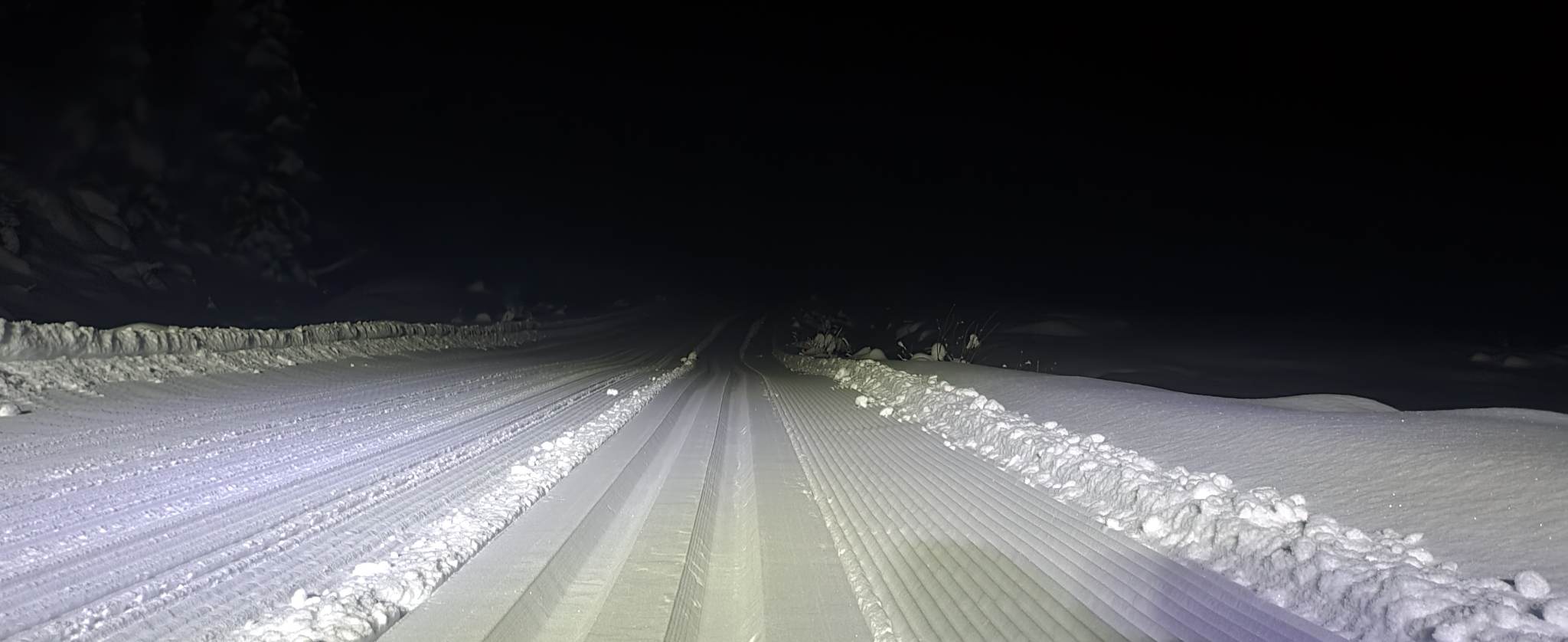 1230 Ole Ronny_01.jpg