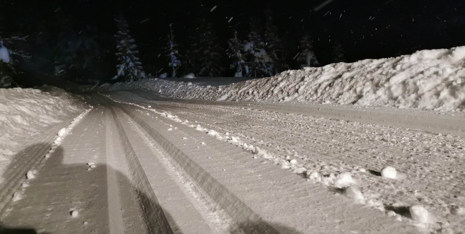 0105 oleronny_06.jpg