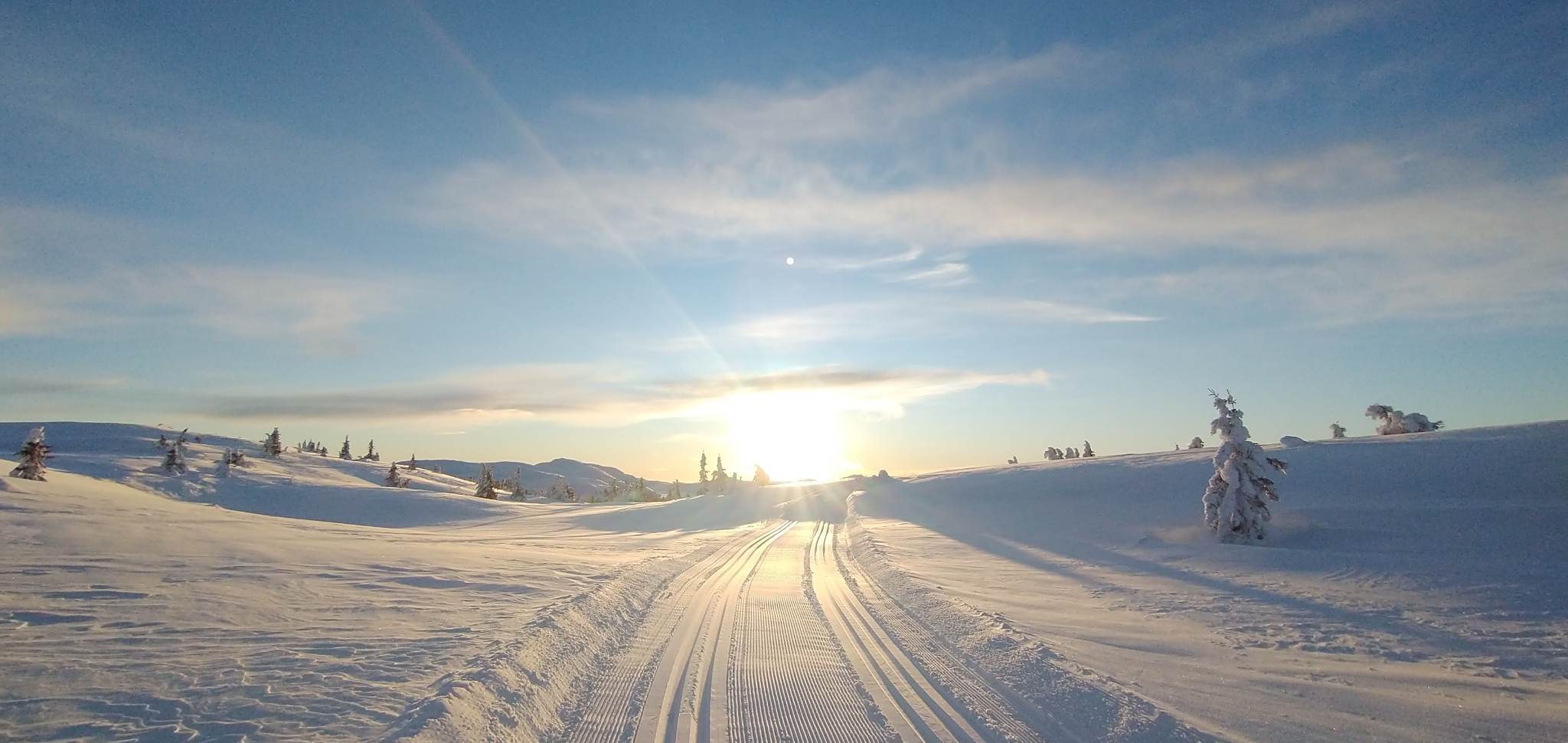 0112 Ole Ronny_02.jpeg