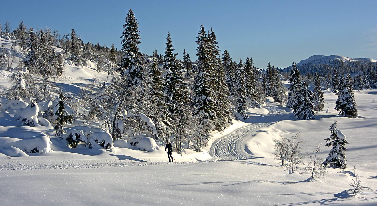 Skjermbilde 2023-01-16 kl. 12.15.12.png