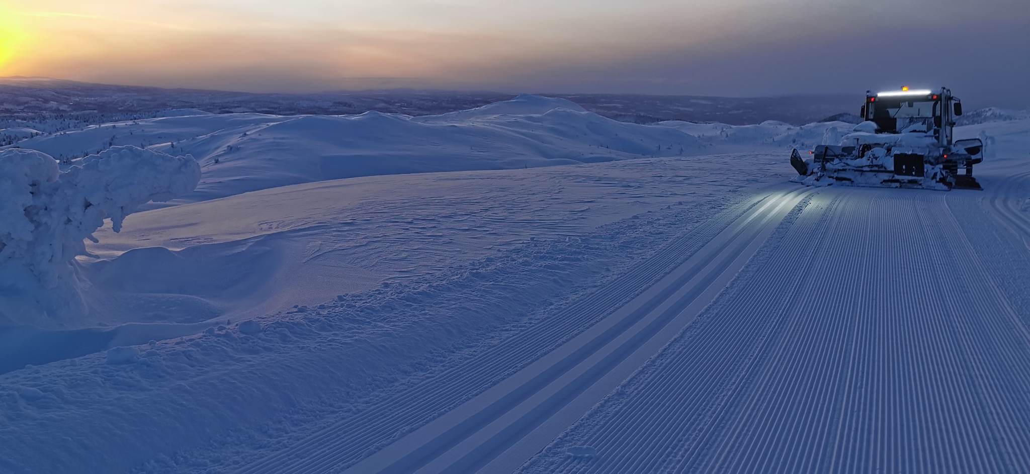 0119 Trond Vidar_03.jpg