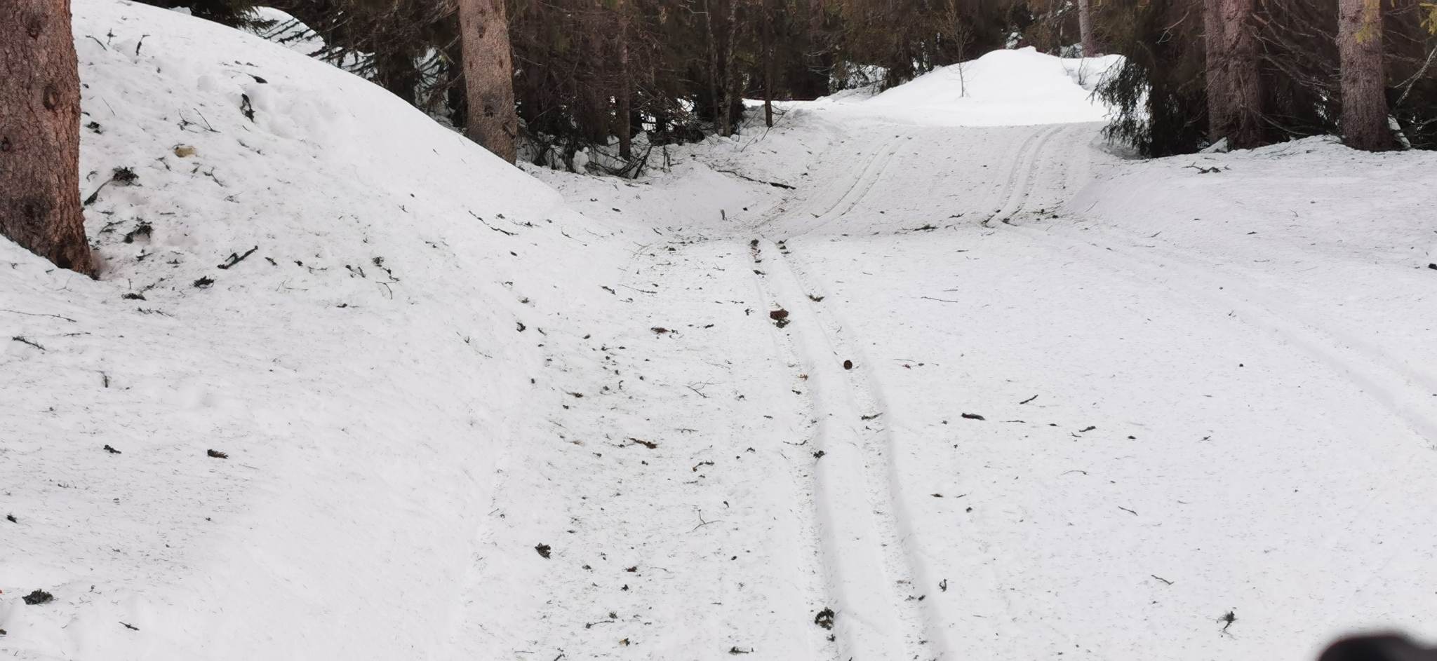 0131 Trond Vidar_04.jpg