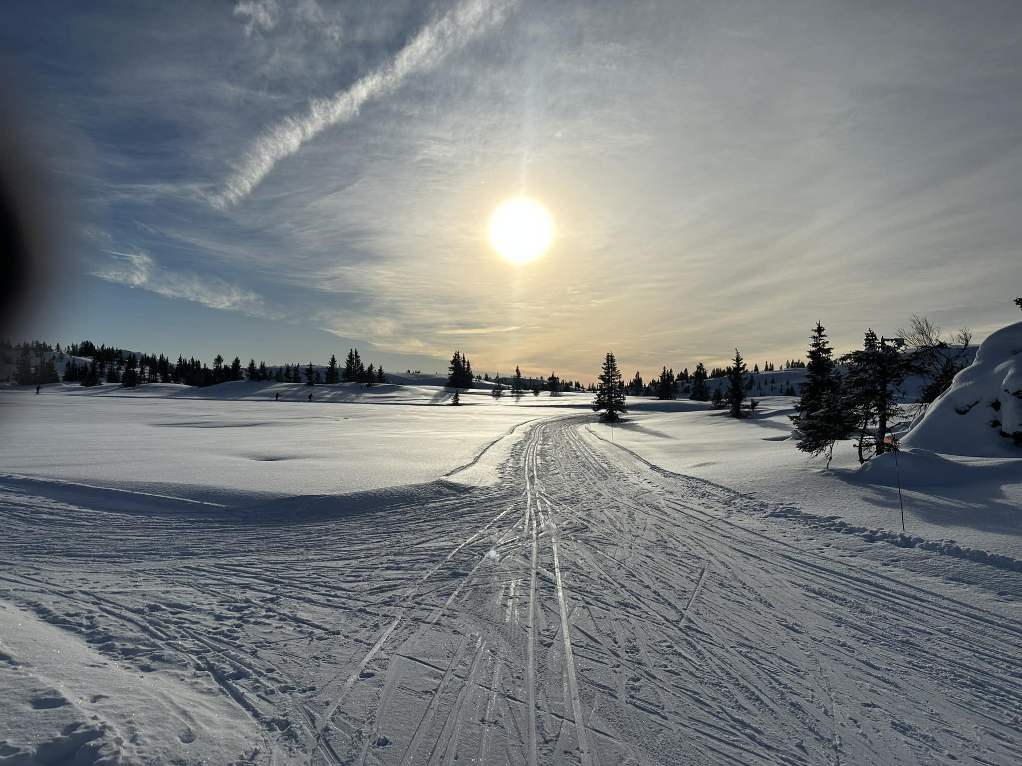 0205 Thomas Kristiansen_01.jpeg