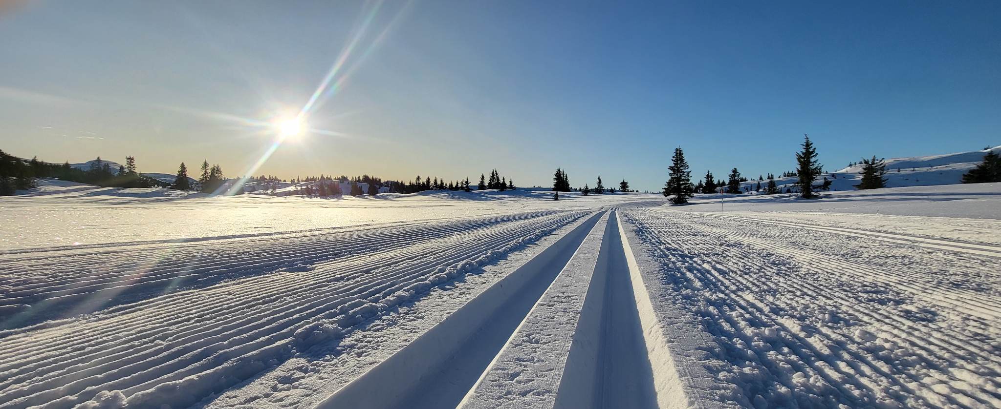 0212 Ole Ronny_03.jpg