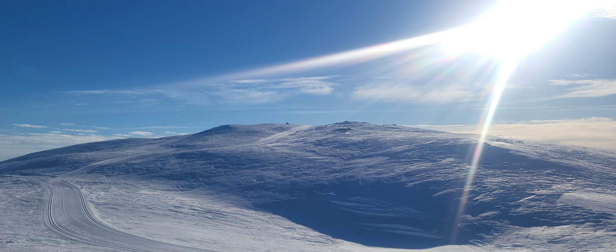 0215 Ole Ronny_02.jpg