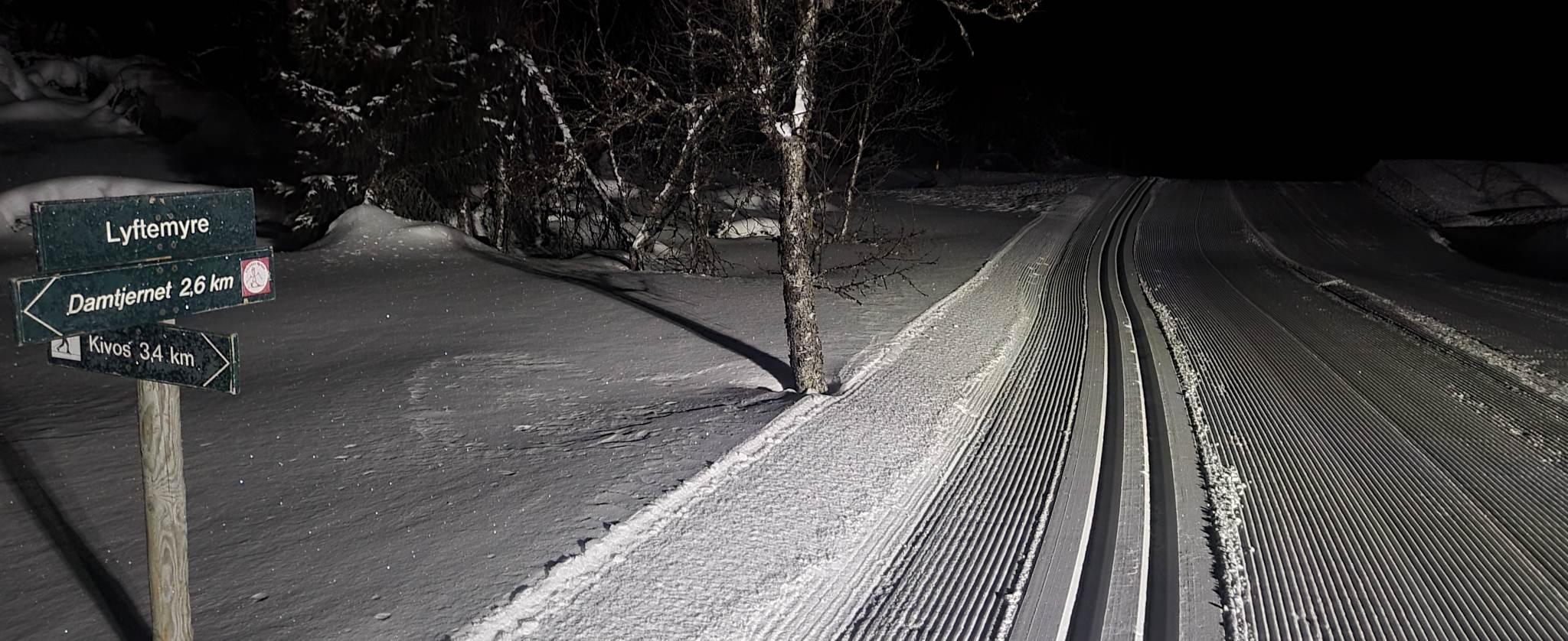 0219 Ole Ronny_04.jpg