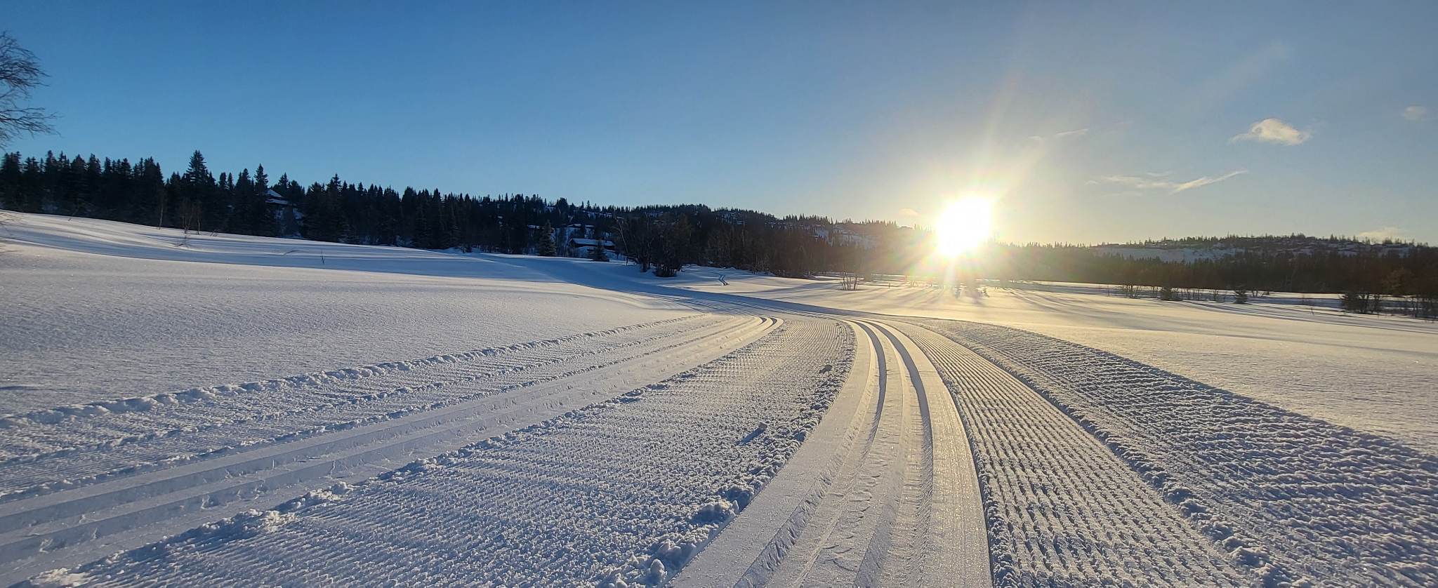 0220 Ole Ronny_03.jpg