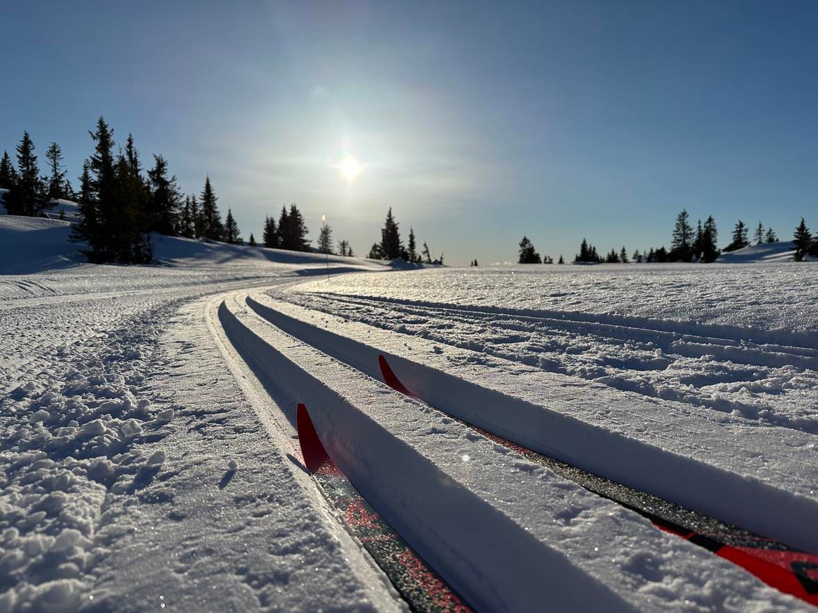 0126 Thomas Kristiansen_02.jpg (1)