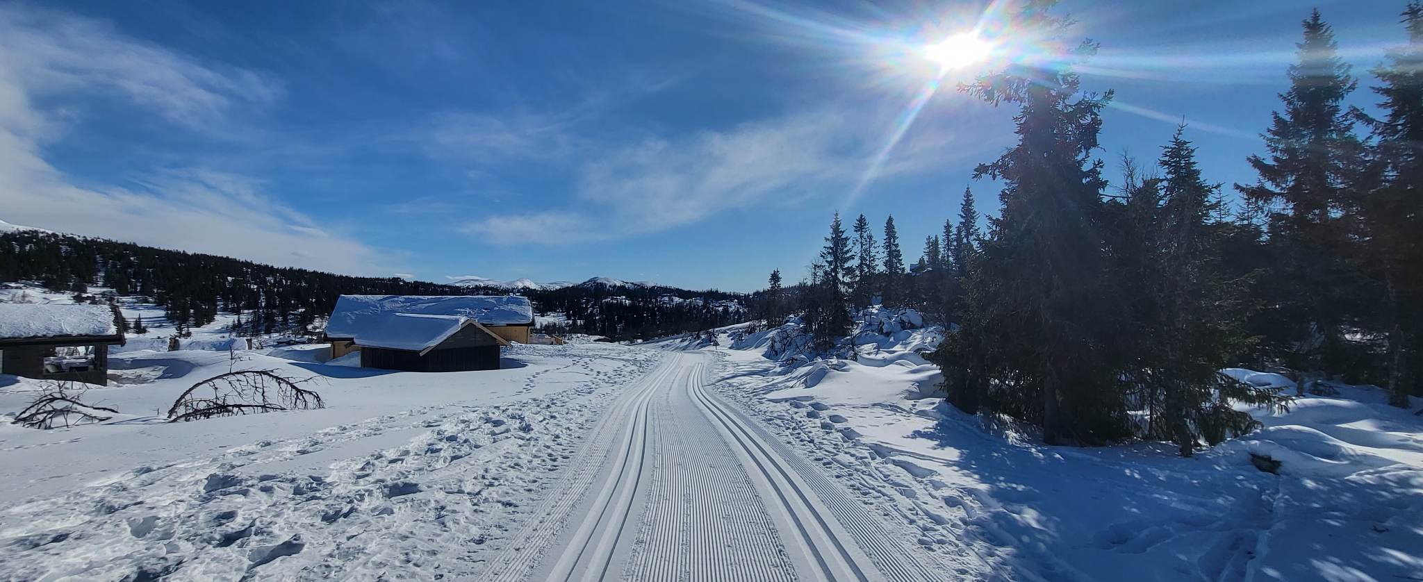 0309 Ole Ronny_02.jpg