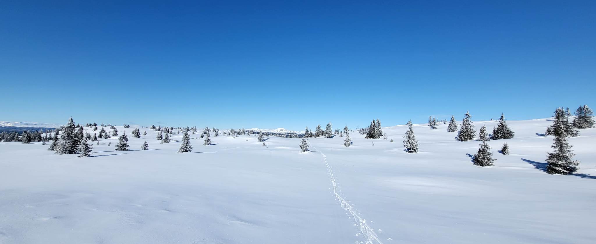 0314 Ole Ronny_03.jpg